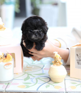 thumb-1893343860_3l7IajTz_f577664b756a11920510e42a