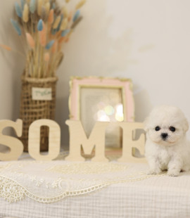 thumb-1893343860_QLeCaKmv_96a4d99ee553a333f19af39a