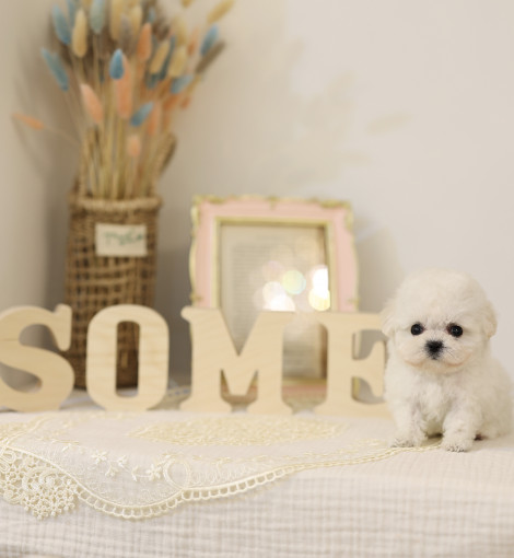 thumb-1893343860_QLeCaKmv_96a4d99ee553a333f19af39a
