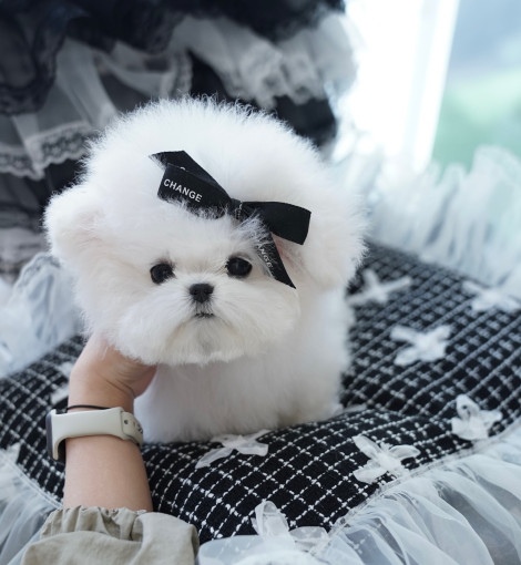 thumb-2890191663_IVkSmDgC_eeb126f2f820e234e5c4fbfd
